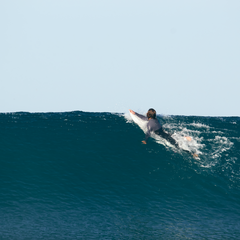 What is surfing about? Van der Waal 2023 ethos