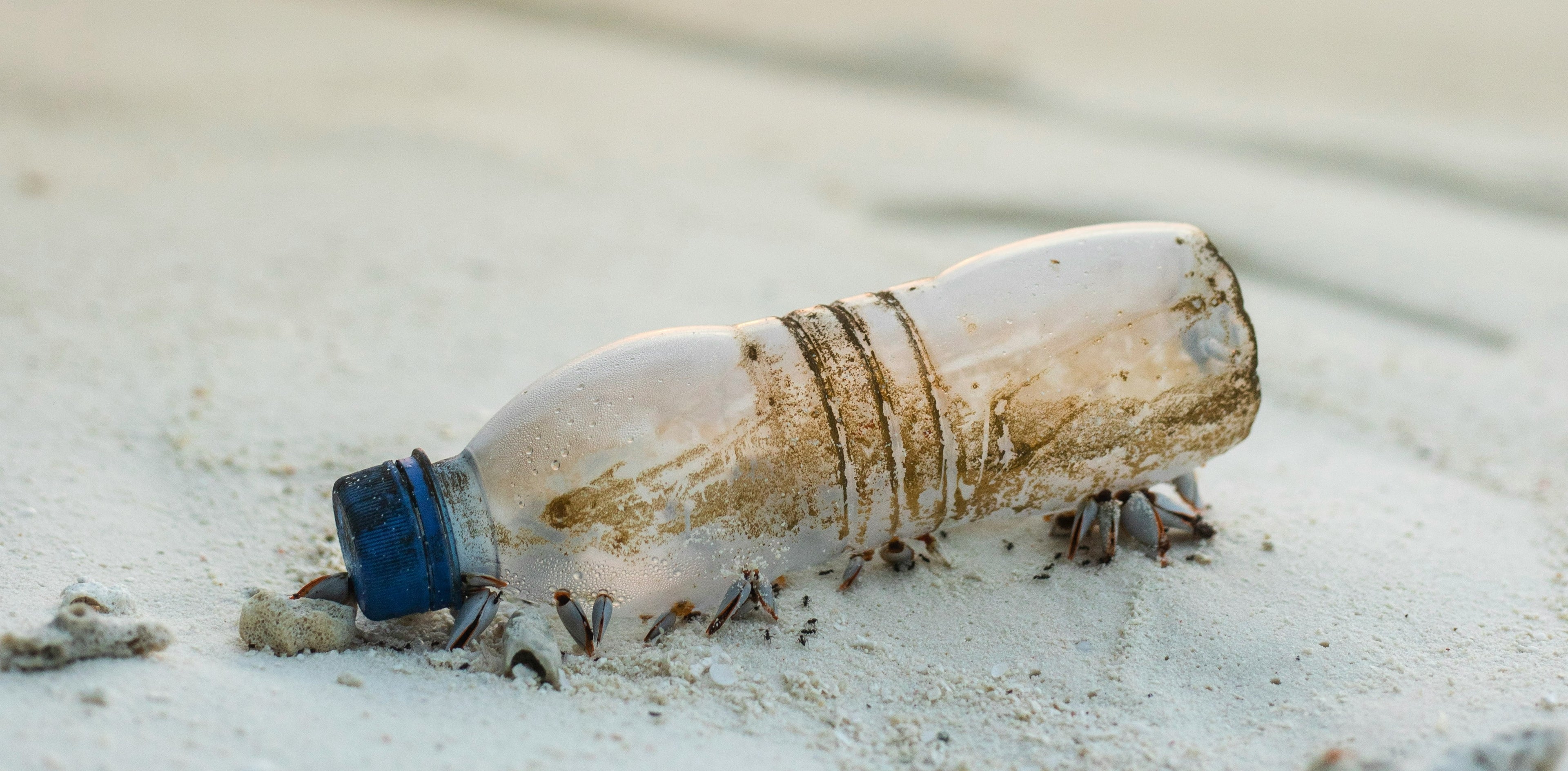 2 plastic bottles removed from the ocean for every order.
